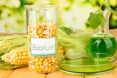 Knotting Green biofuel availability